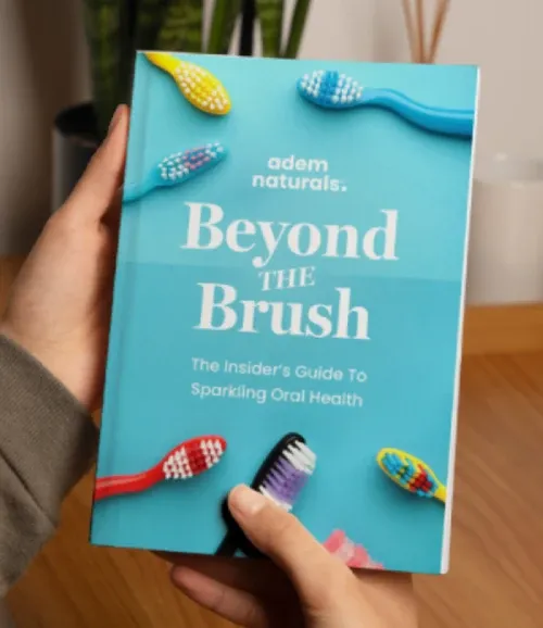 ProvaDent Bonus #1 – Beyond the Brush Beyond the Brush digital bonus guide included with eligible ProvaDent packages